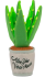 Іграшка для собак Blooming Buddies Collection - Aloe-ve You Plant Pet Play