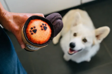 Игрушка для собак Pup Cup Cafe - Doggo's Java Pet Play (Mini)