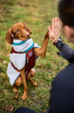 Флисовая куртка для собак Trekking fleece jacket Non-stop dogwear Серый/Винный/Бирюзовый 