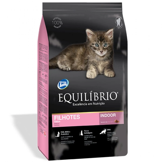 Equilibrio Cat Kitten