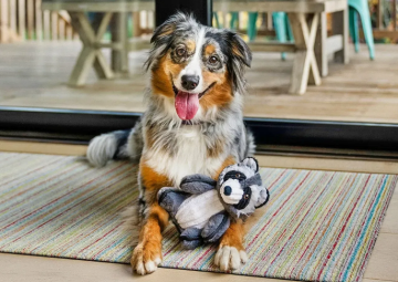 Игрушка для собак Raccoon Forest Friends Pet Play