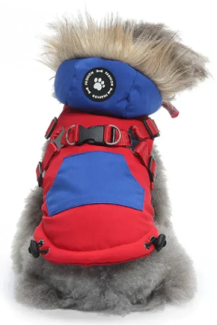 Зимовий жилет для собак з капюшоном та хутром Derby Red/Blue