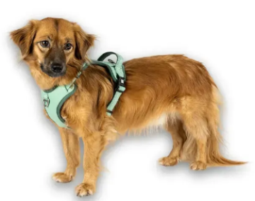 Шлейки для собак Max & Molly Smart ID Sport Harness Matrix 2.0 Jade нефритового кольору
