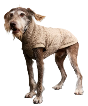 Светр для собак Cloud7 Gotland Бежевий