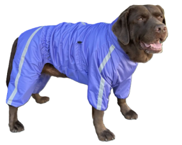 Дождевик DogsBomba Спорт на флисе фиолет