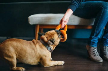 Игрушка для собак International Classic - Pretzel Pet Play