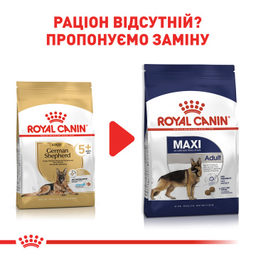 Royal Canin German Shepherd Ageing 5+