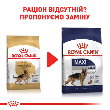 Royal Canin German Shepherd Adult