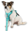 Шлейки для собак Max & Molly Smart ID Sport Harness Matrix 2.0 Turquoise бірюзового кольору