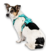 Шлейки для собак Max & Molly Smart ID Sport Harness Matrix 2.0 Turquoise бірюзового кольору