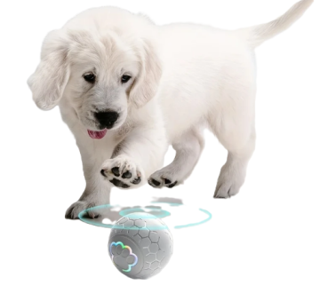 Іграшка для собак Розумний м'яч Smart Dog Toy Ball