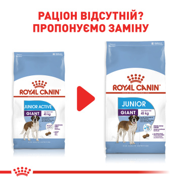 Royal Canin Giant Junior Active