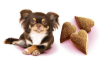 Ласощі Brit Care Mini Treats Mood для собак малих порід проти стресу, ягня смак ваніль