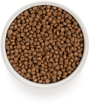 Grandorf 4 Meat & Brown Rice Adult Indoor Cat