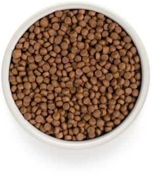 Grandorf 4 Meat & Brown Rice Adult Indoor Cat