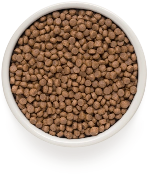 Grandorf Cat 4 Meat & Turkey Steril Грандорф 4 вида мяса с пробиотиками для стерилизованных котов