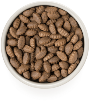Grandorf Dog Turkey Brown Rice Adult Large Breeds
