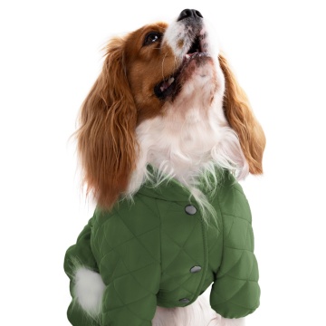 Комбинезон для собак Barksi Textile Зеленый