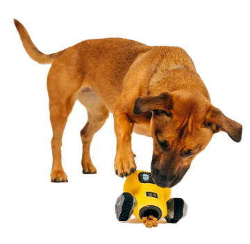 Іграшка для собак Robo-Rover Alien Buddies Pet Play