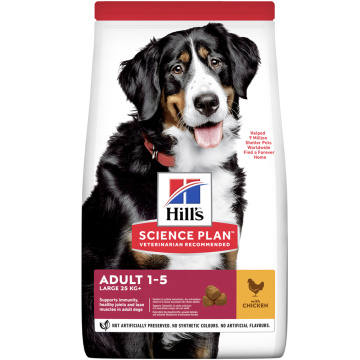 Hills SP Canine Adult Large Breed Chicken