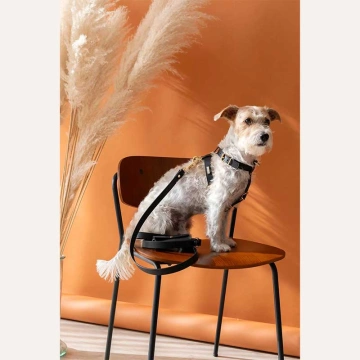 Шкіряна шлея BranniPets - Arnés Nara Black