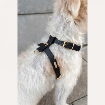 Шкіряна шлея BranniPets - Arnés Nara Black
