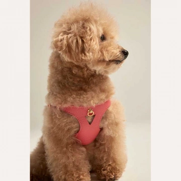Шкіряна шлея BranniPets - Juno Coral