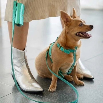 Шкіряна шлея BranniPets - Metal Turquoise