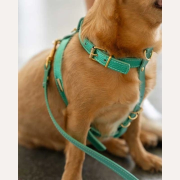 Шкіряна шлея BranniPets - Metal Turquoise