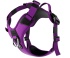 Шлея для собак BullyBillows Hurricane Harness - Purple