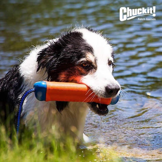 Игрушка Chuckit апорт на ремне плавучий для собак