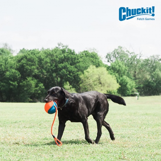 Іграшка Chuckit легкий м'яч на мотузці для собак