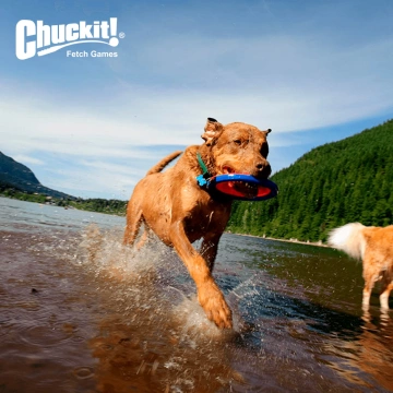 Іграшка Chuckit літаючий диск для собак