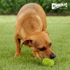 Іграшка Chuckit м'яч неправильної форми для собак середніх розмірів