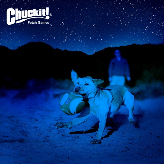 Игрушка Chuckit светящийся мяч в темноте для собак