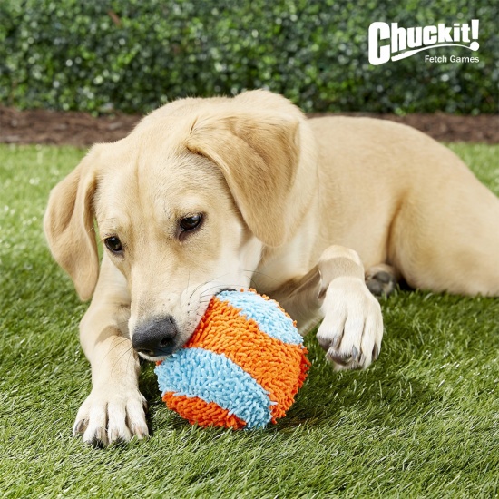 Игрушка Chuckit плюшевый мяч для игры в помещении для собак