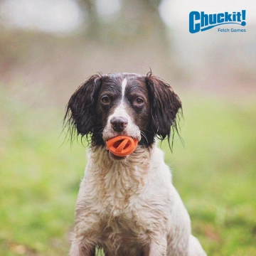 Іграшка Chuckit сітчастий м'яч для собак середніх розмірів