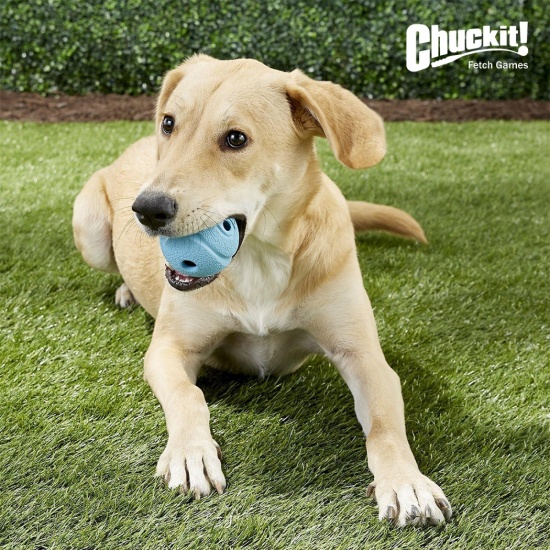 Игрушка Chuckit свистящий мяч для собак средних размеров