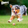 Іграшка Chuckit тенісний м'яч ультра для собак середніх розмірів