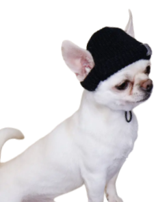 Шапка вязаная DogsBomba Бини Черная