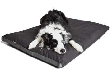 Лежак для собак Cloud7 Siesta Графітовий
