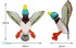М'яка іграшка для собак Molly Macaw Rope Squeaker