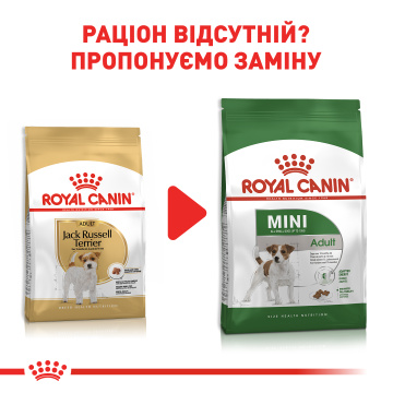 Royal Canin Jack Russell Adult