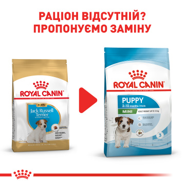 Royal Canin Jack Russel Puppy