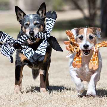 Jolly Pets Хрусткий алігатор для собак