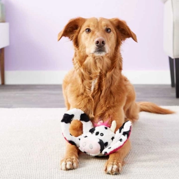Jolly Pets Перетяжка "Корівка" для собак