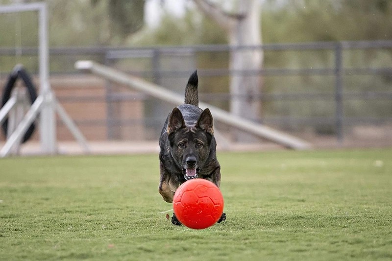 Jolly pets best sale soccer ball