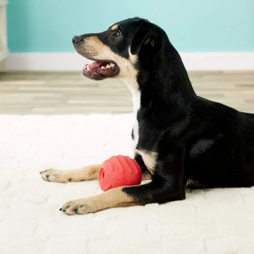 Jolly Pets Jolly Tuff Tosser М'яч для ласощів