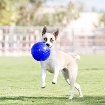 Jolly Pets Jolly Soccer Ball Мяч для собак, 15 см
