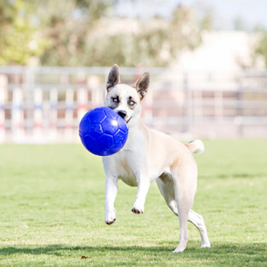 Jolly Pets Jolly Soccer Ball Мяч для собак, 15 см